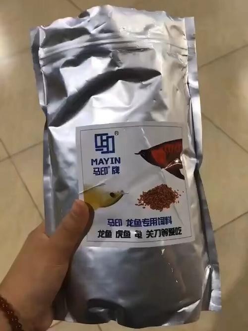 廣州龍魚最建議買的10樣東西