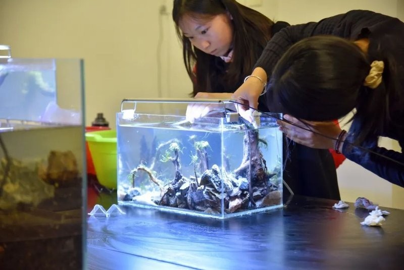 造景大賽的獲獎名單在哪里可以查到？