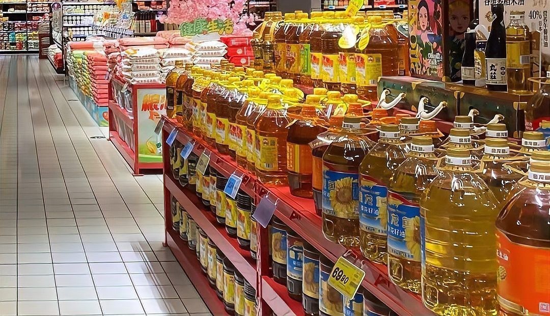 金龍魚在廣州有哪些經銷網點？