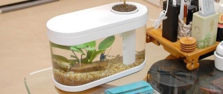 畫法幾何魚缸一代好還是二代好：畫法幾何魚缸一代和二代各有特點