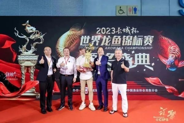 冠軍龍魚的主人大傅是誰？