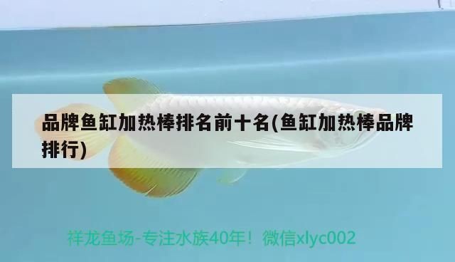魚缸加熱棒排名（魚缸加熱棒品牌及其特點魚缸加熱棒功率選擇指南）