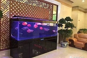 一般魚缸能用幾年壽命（魚缸使用壽命一般在8-10年左右但具體使用壽命還需考慮上述）