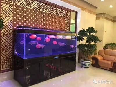 一般魚缸能用幾年壽命（魚缸使用壽命一般在8-10年左右但具體使用壽命還需考慮上述）