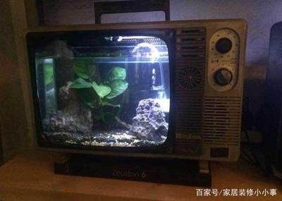 一般魚缸能用幾年壽命（魚缸使用壽命一般在8-10年左右但具體使用壽命還需考慮上述）