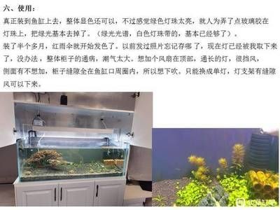 魚缸百度貼吧（魚缸百度貼吧是一個專注于魚缸交流平臺的交流平臺）
