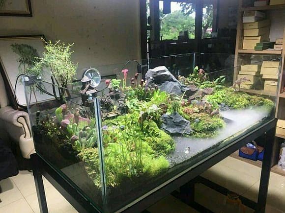 魚缸百度貼吧（魚缸百度貼吧是一個專注于魚缸交流平臺的交流平臺）