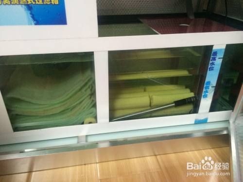 底濾魚缸抽不走糞便怎么處理：底濾魚缸中糞便抽不走問題，底濾魚缸造浪泵選型指南