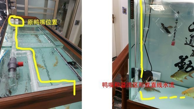 底濾魚缸抽不走糞便怎么處理：底濾魚缸中糞便抽不走問題，底濾魚缸造浪泵選型指南