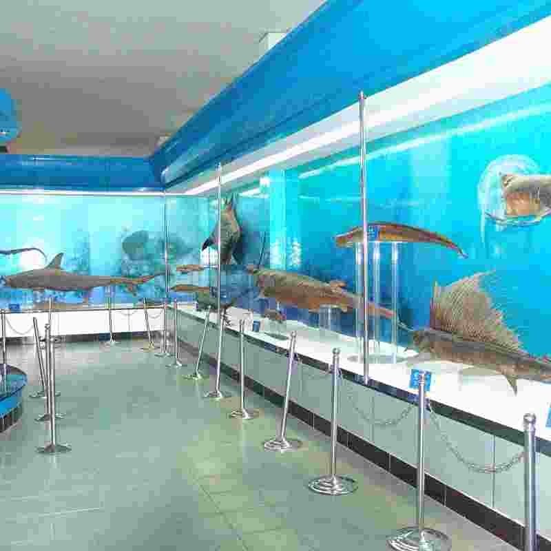 徐州水族展覽館開放時間