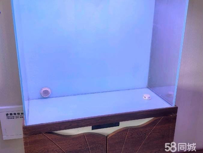 附近二手魚缸轉(zhuǎn)讓500元以下