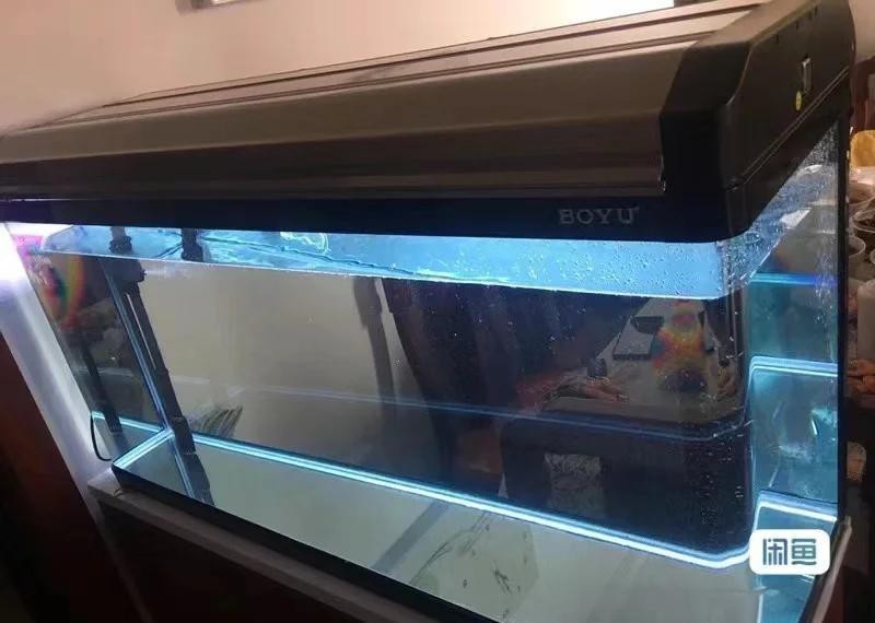 附近二手魚缸轉(zhuǎn)讓500元以下