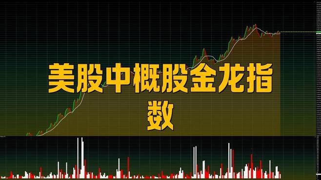 如何追蹤中國(guó)金龍指數(shù)的表現(xiàn)？