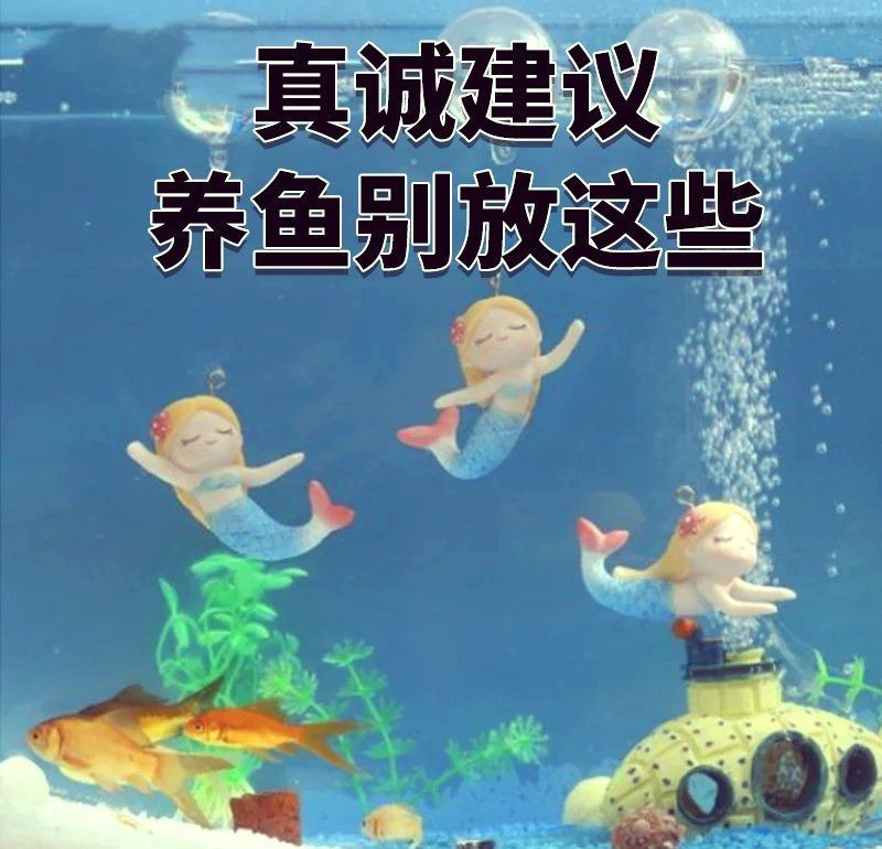 紅老虎魚最忌三種東西
