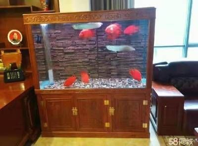 大型魚缸定制哪家好（大型魚缸定制哪家好,通過(guò)以上信息幫助您找到合適的魚缸）