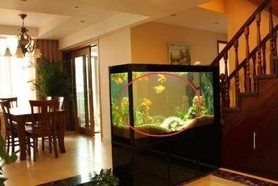 客廳魚缸正確擺放圖（客廳魚缸正確擺放位置） 客廳魚缸正確擺放圖（客廳魚缸正確擺放位置） 魚缸百科 第2張