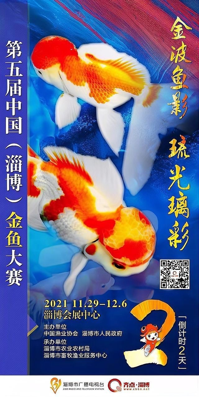 第五屆中國金魚大賽