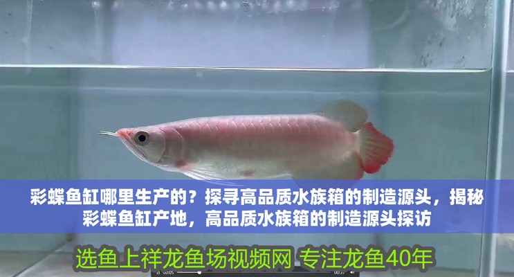 彩蝶魚缸CAD官方網站