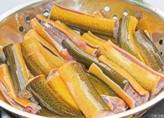 黃鱔養魚缸里面會被淹死嗎：黃鱔在養魚缸內會被淹死嗎