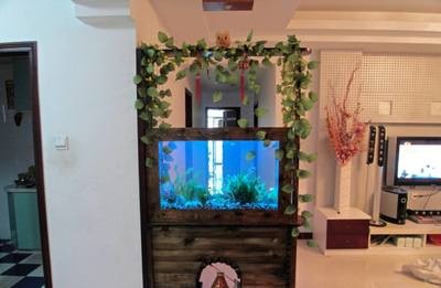 吉林市昌邑區(qū)鐘月水族器材行（吉林市水族批發(fā)在哪）