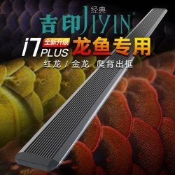 紅龍魚配魚的價格范圍是多少？