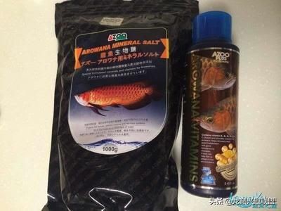 龍魚維生素多長時間放一次