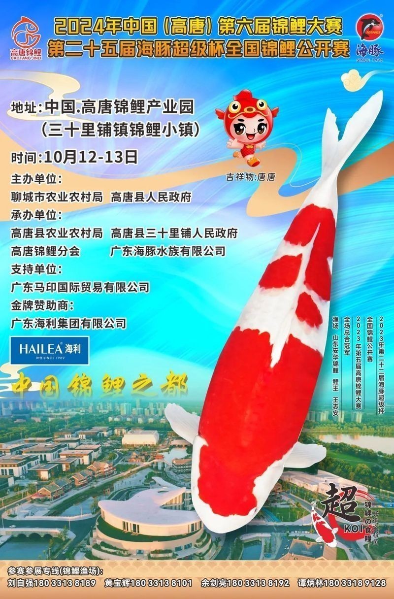 金魚養(yǎng)殖競技大賽有哪些參賽規(guī)則？