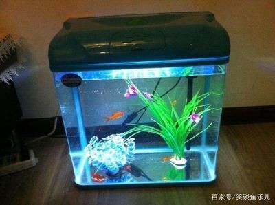 魚缸的好壞（如何選擇一個合適的魚缸）