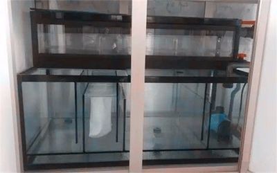 底濾魚缸的濾材擺放順序和建議：底濾魚缸濾材擺放順序