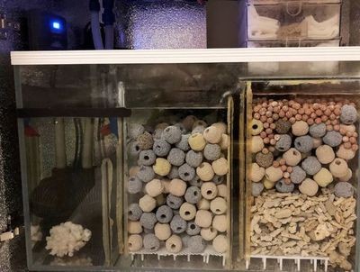 底濾魚缸的濾材擺放順序和建議：底濾魚缸濾材擺放順序
