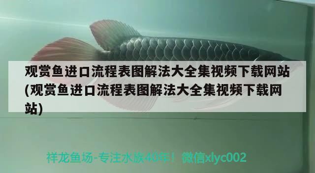佛山市順德區龍江鎮劉志文觀賞魚店