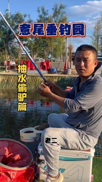 如何獲取2024年龍魚大賽的詳細賽程？
