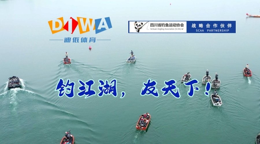 如何獲取2024年龍魚大賽的詳細賽程？