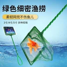 推薦幾款性價比高的龍魚網撈