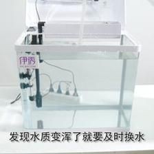 魚缸里出現白色絮狀物是由多種原因引起的，需要注意的是：如何處理魚缸中的白色絮狀物