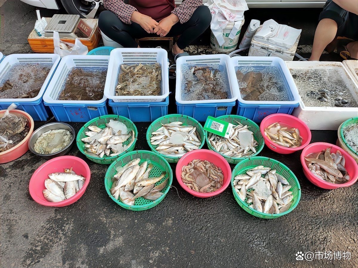 廣州金魚批發市場的營業時間是什么時候？