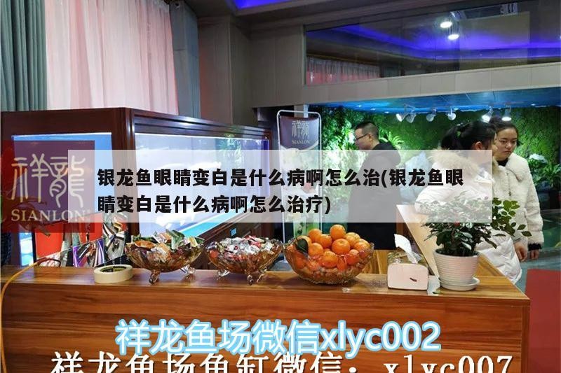 銀龍魚水溫多少合適，銀龍魚用什么水養合適，冬天銀龍魚水溫多少合適，銀龍魚水溫多少合適