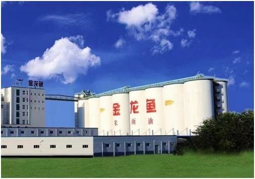 銀龍魚身體潰爛怎么辦啊視頻（銀龍魚身體潰爛怎么辦啊視頻講解）