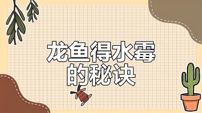 如何預(yù)防銀龍魚的水霉病？
