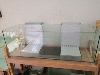 底濾魚缸過濾滲水（如何正確安裝底濾魚缸）