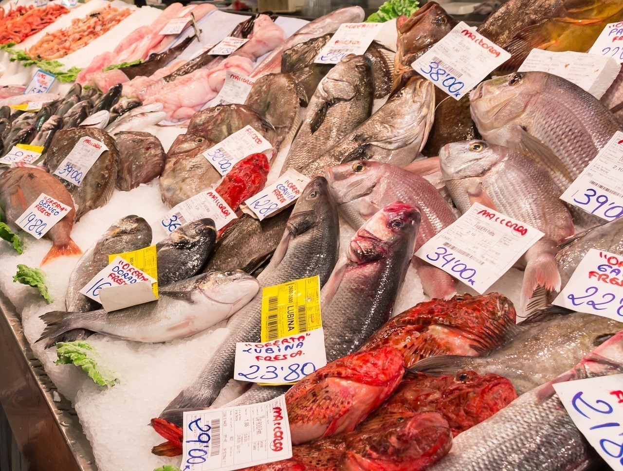 晉城市城區(qū)云剛魚店(晉城市城區(qū)云剛魚店電話號(hào)碼) 全國(guó)水族館企業(yè)名錄 第1張 晉城市城區(qū)云剛魚店(晉城市城區(qū)云剛魚店電話號(hào)碼) 晉城市城區(qū)云剛魚店(晉城市城區(qū)云剛魚店電話號(hào)碼) 全國(guó)水族館企業(yè)名錄 第1張