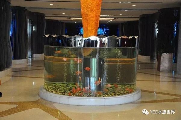 海麗雅亞克力魚缸蓋子的優點：diy魚缸蓋的創意方案