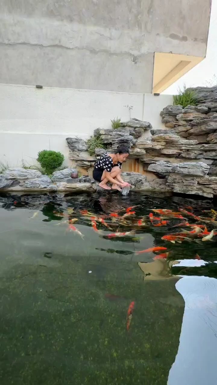 魚池清澈心情好