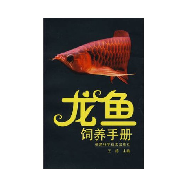 哪里可以找到龍魚的養殖教程？