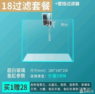 魚缸過濾器貼吧：選購魚缸過濾器的建議