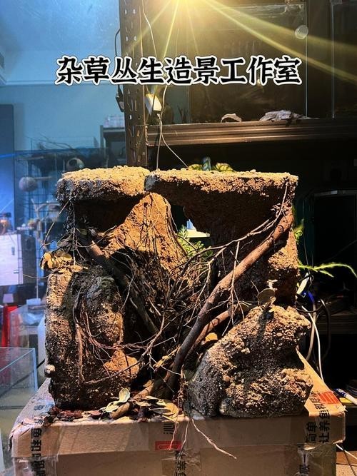 40草缸造景圖比賽作品
