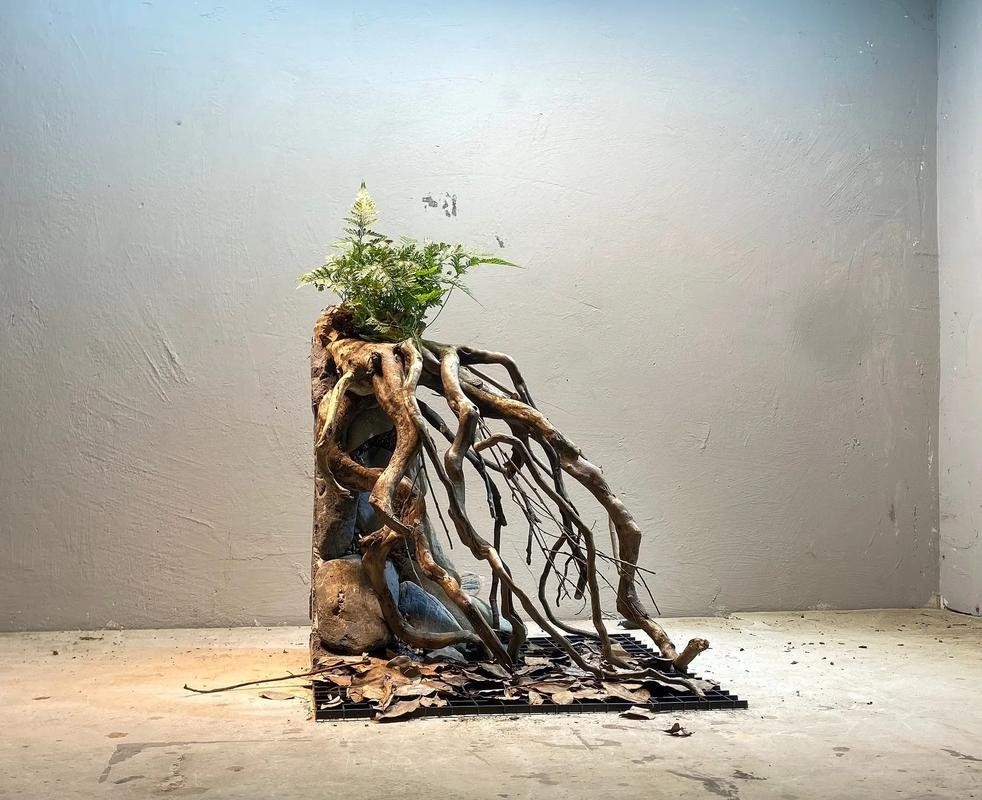 40草缸造景圖比賽作品