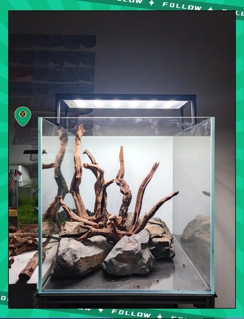 40草缸造景圖比賽作品