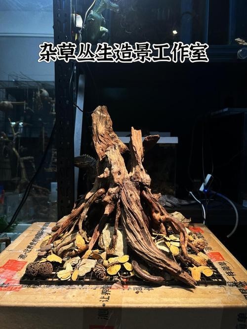 40草缸造景圖比賽作品