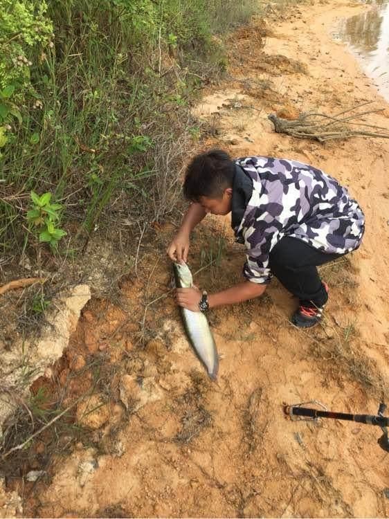 銀龍魚多少錢一條:想把銀龍魚養大需要用多大的魚缸